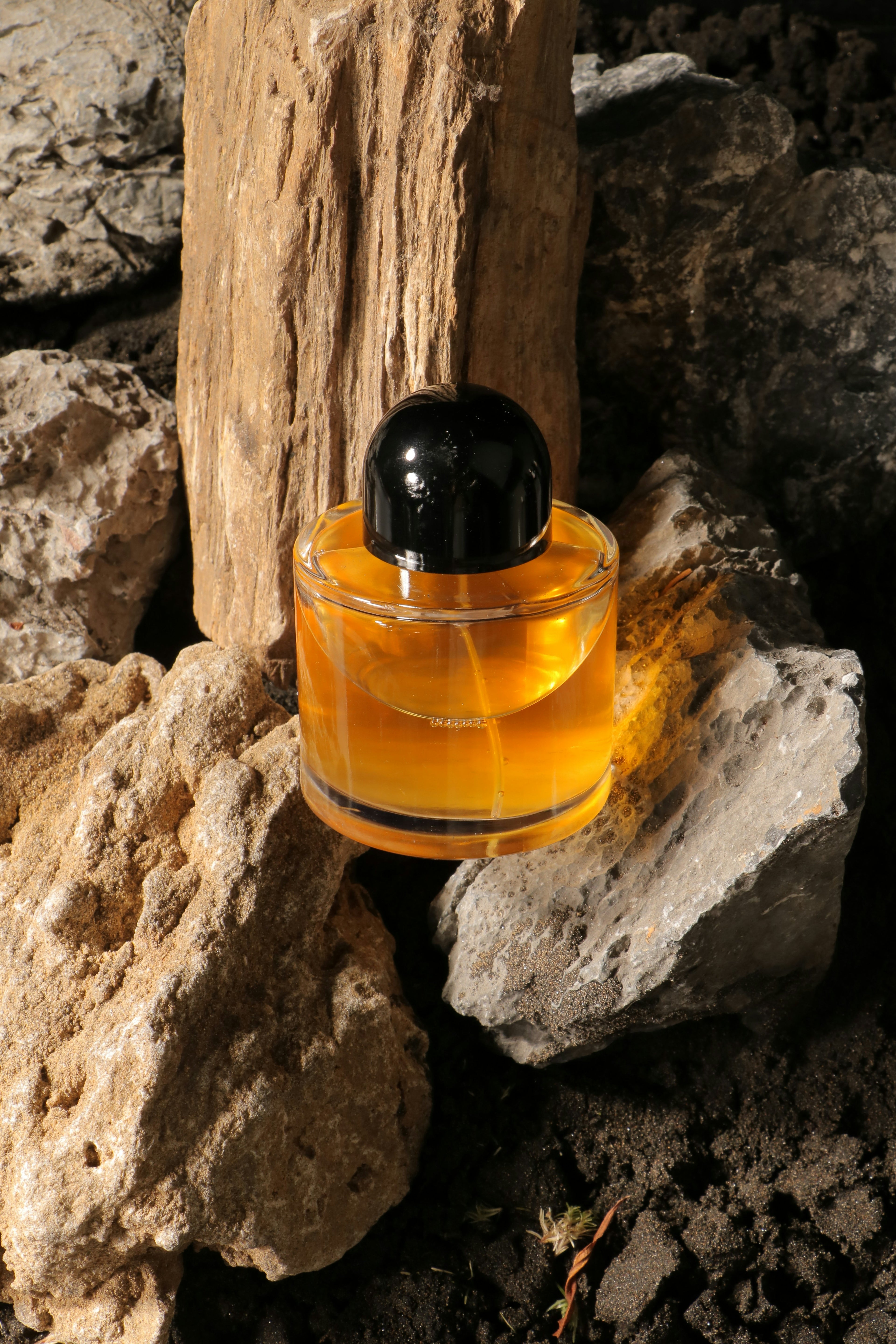 Black Truffle Oil - Infused Extra Virgin