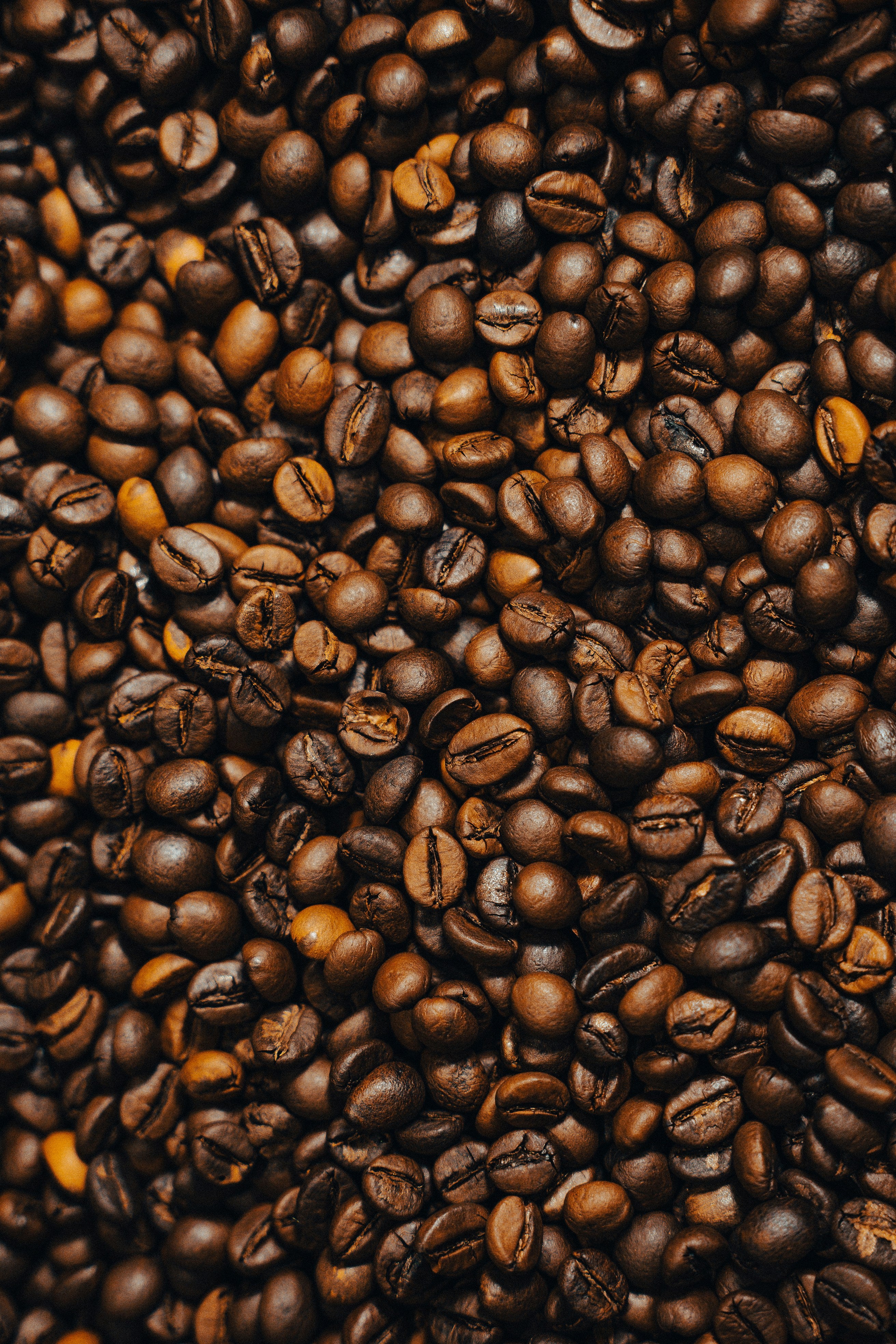 Premium Ground Coffee - Dark Roast Blend