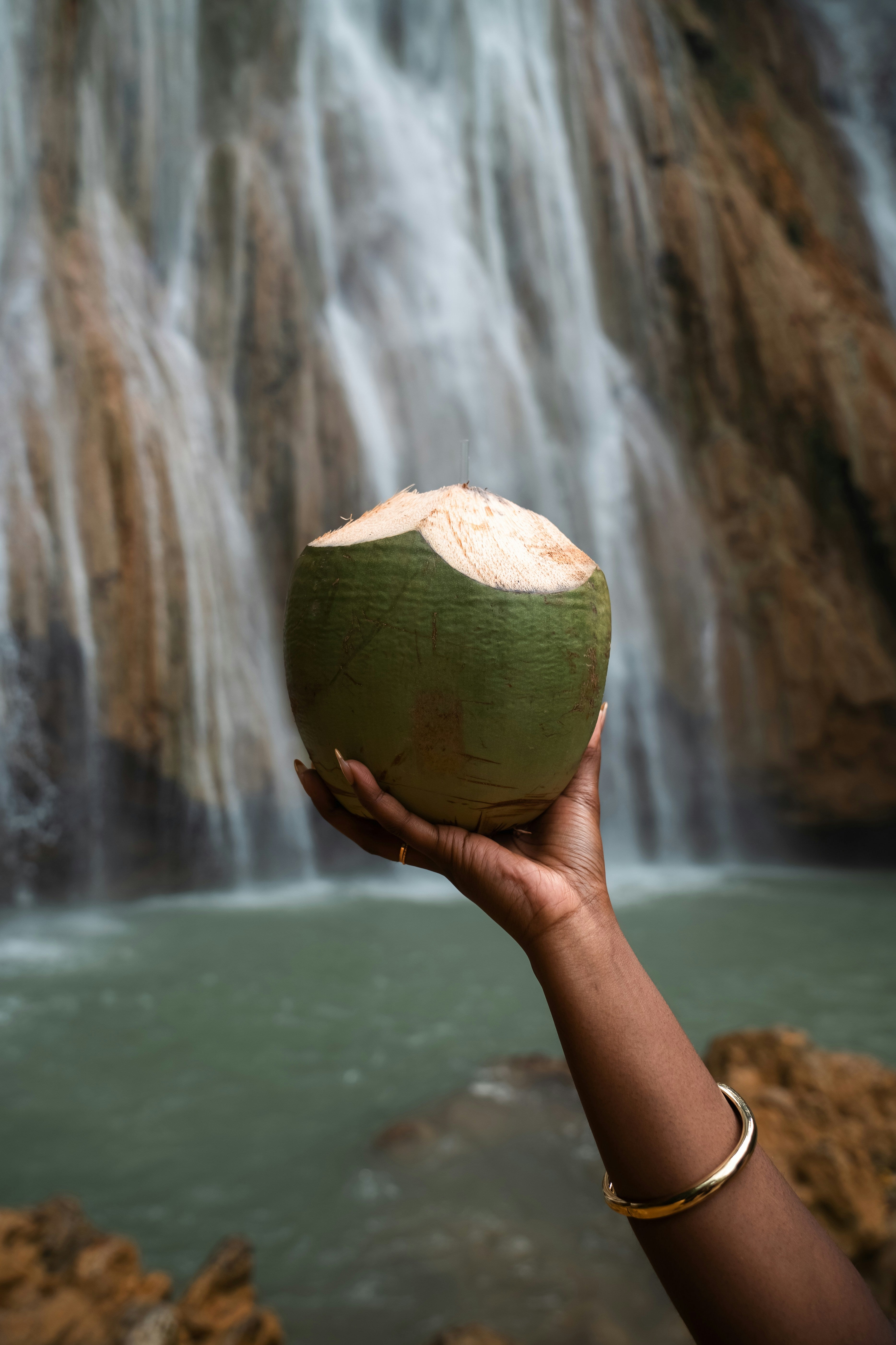 Pure Coconut Water - Natural Hydration