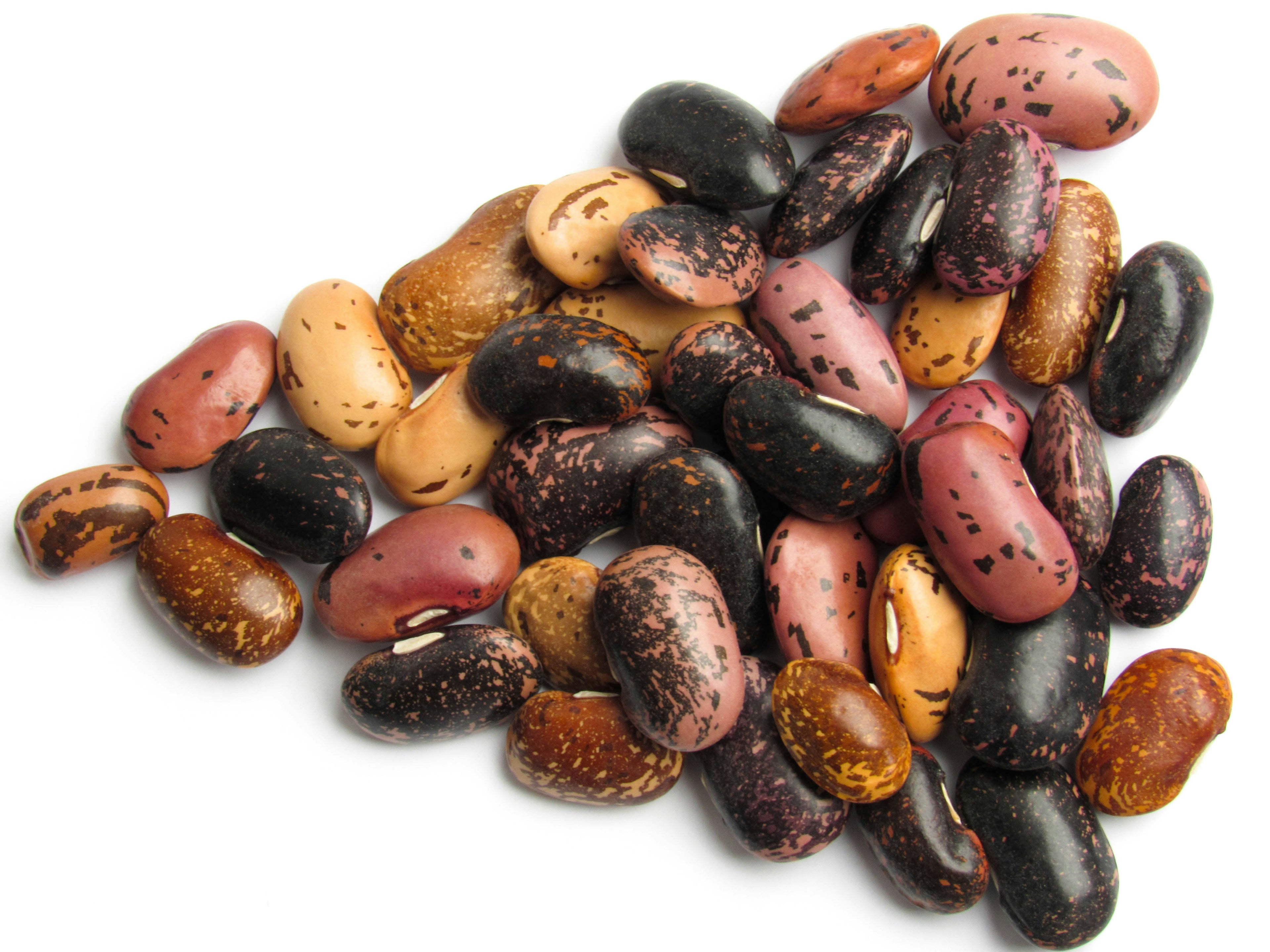 Premium Canned Kidney Beans - Ready to Eat