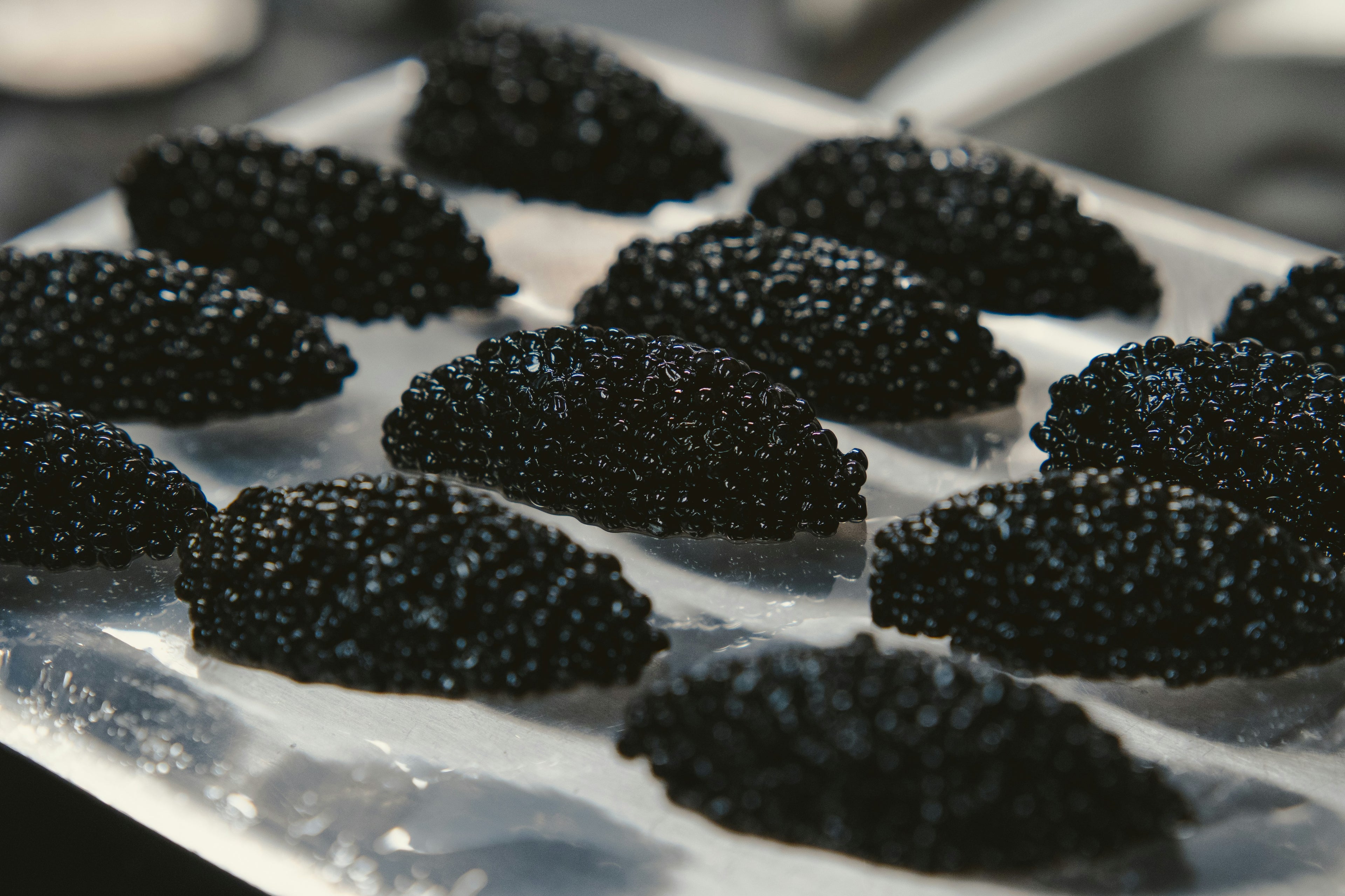 Premium Sturgeon Caviar - Black Pearl