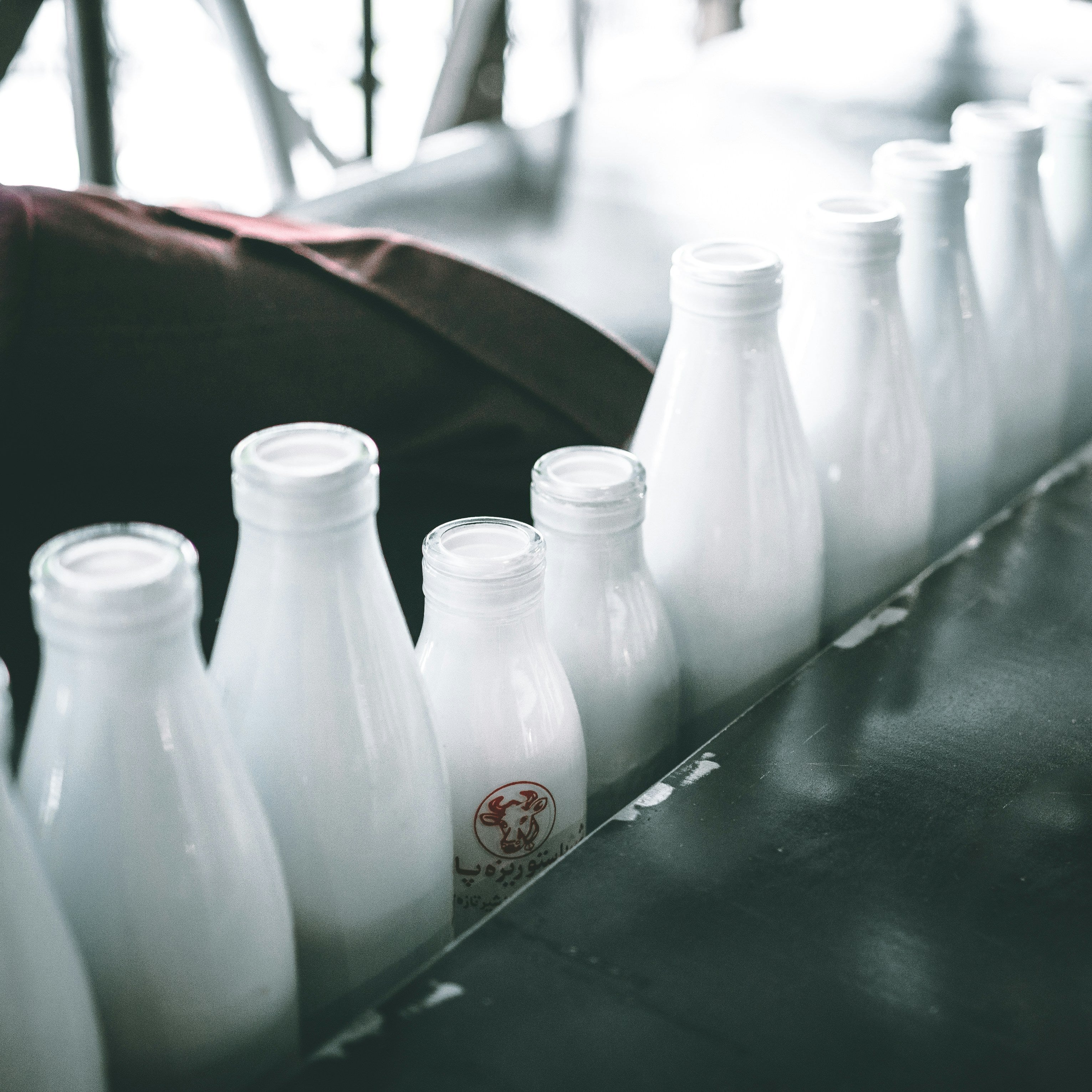 Dairy Milk