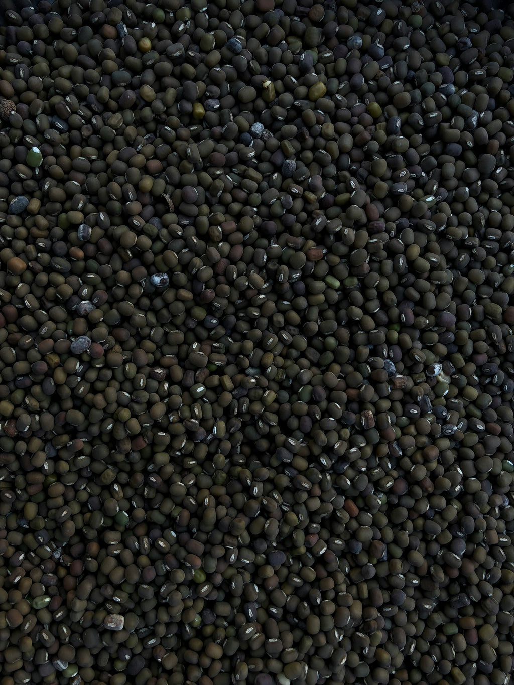 Premium Sturgeon Caviar - Black Pearl