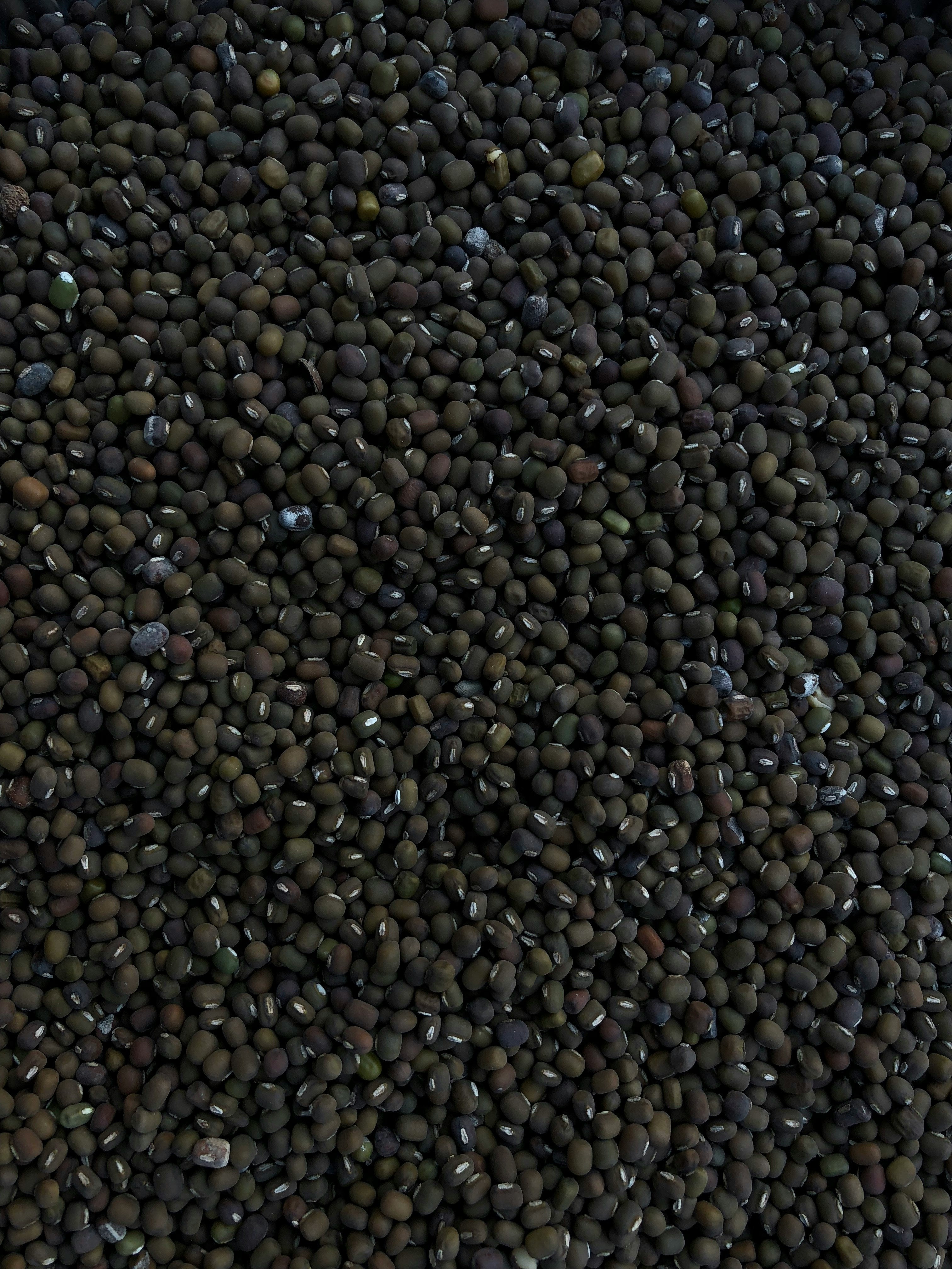 Premium Sturgeon Caviar - Black Pearl