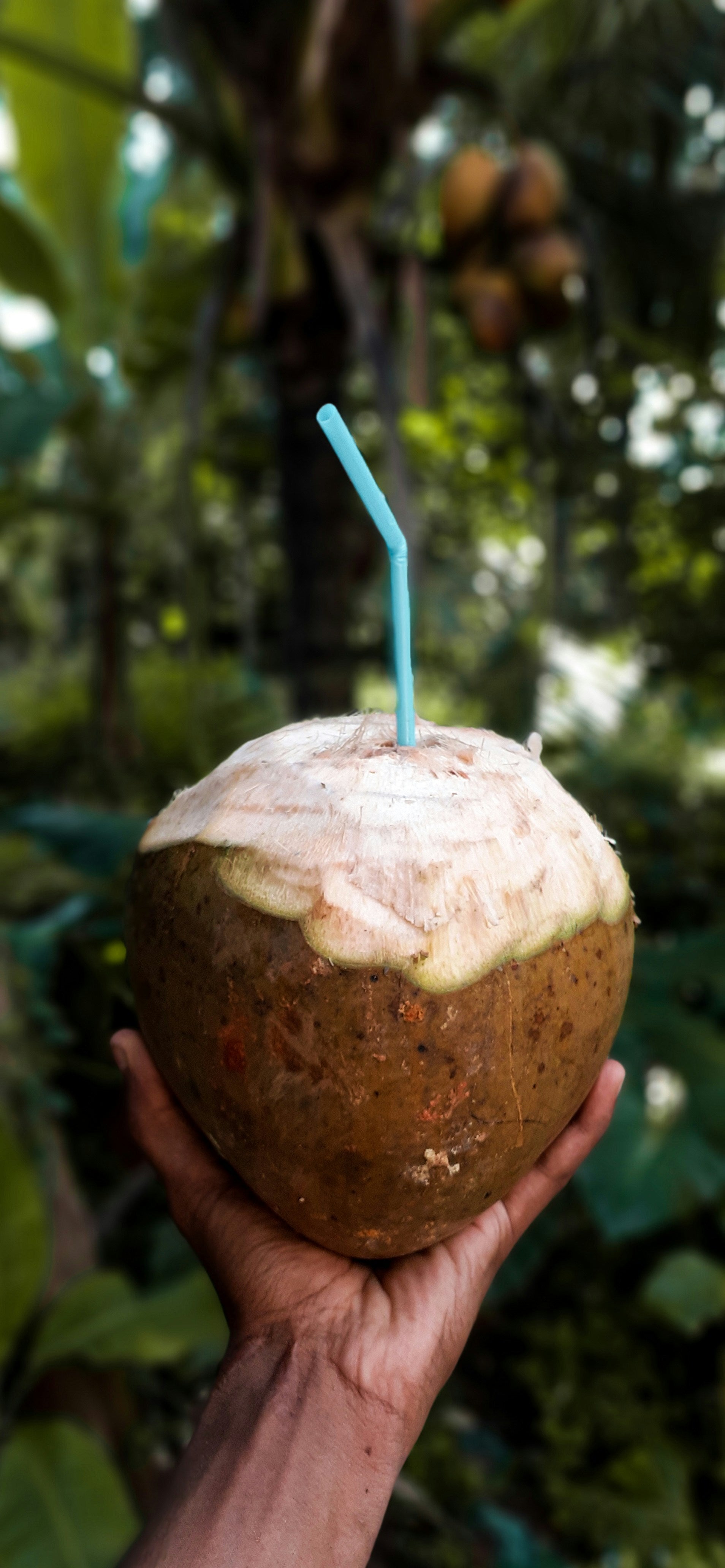 Pure Coconut Water - Natural Hydration