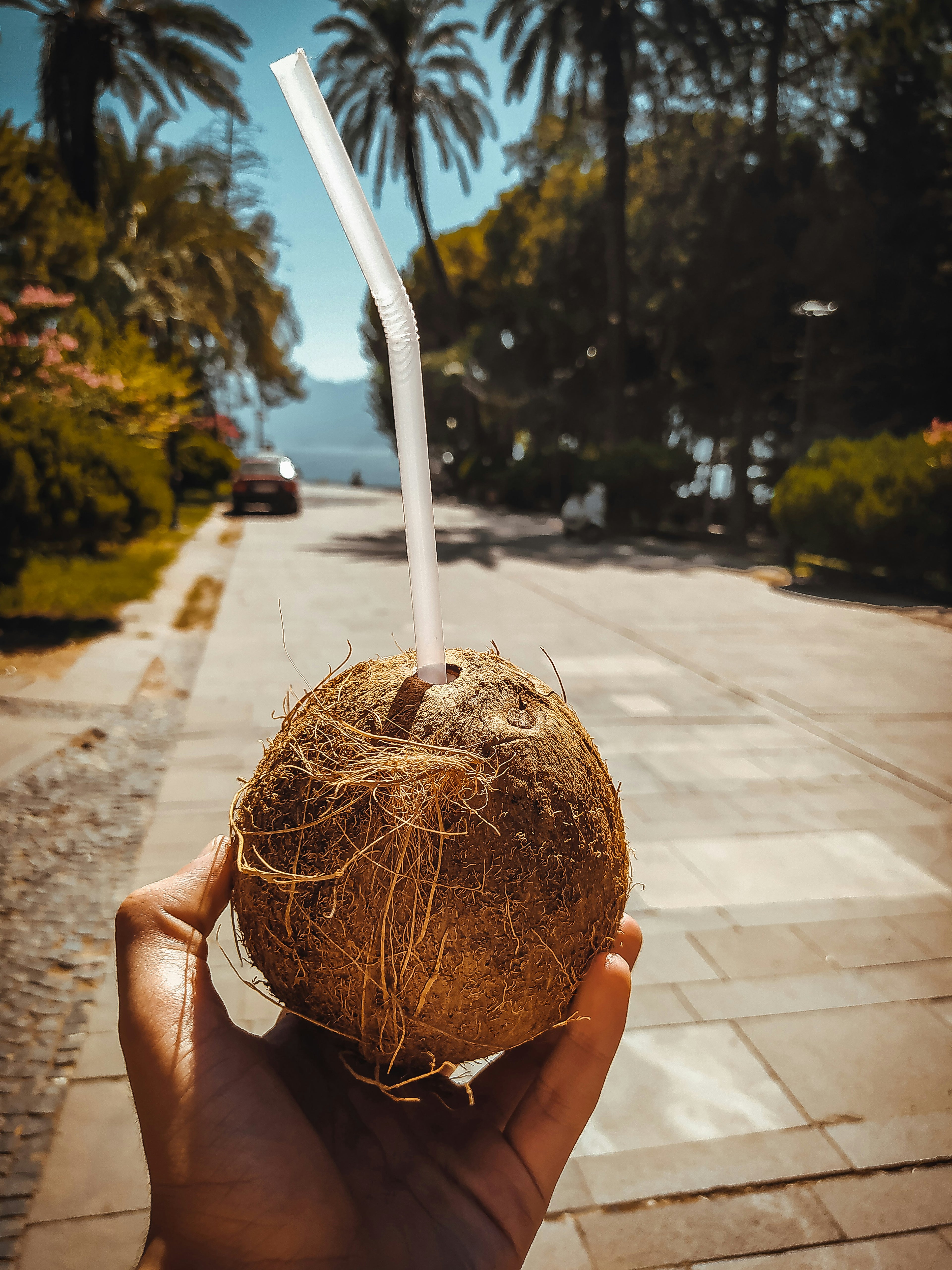 Pure Coconut Water - Natural Hydration