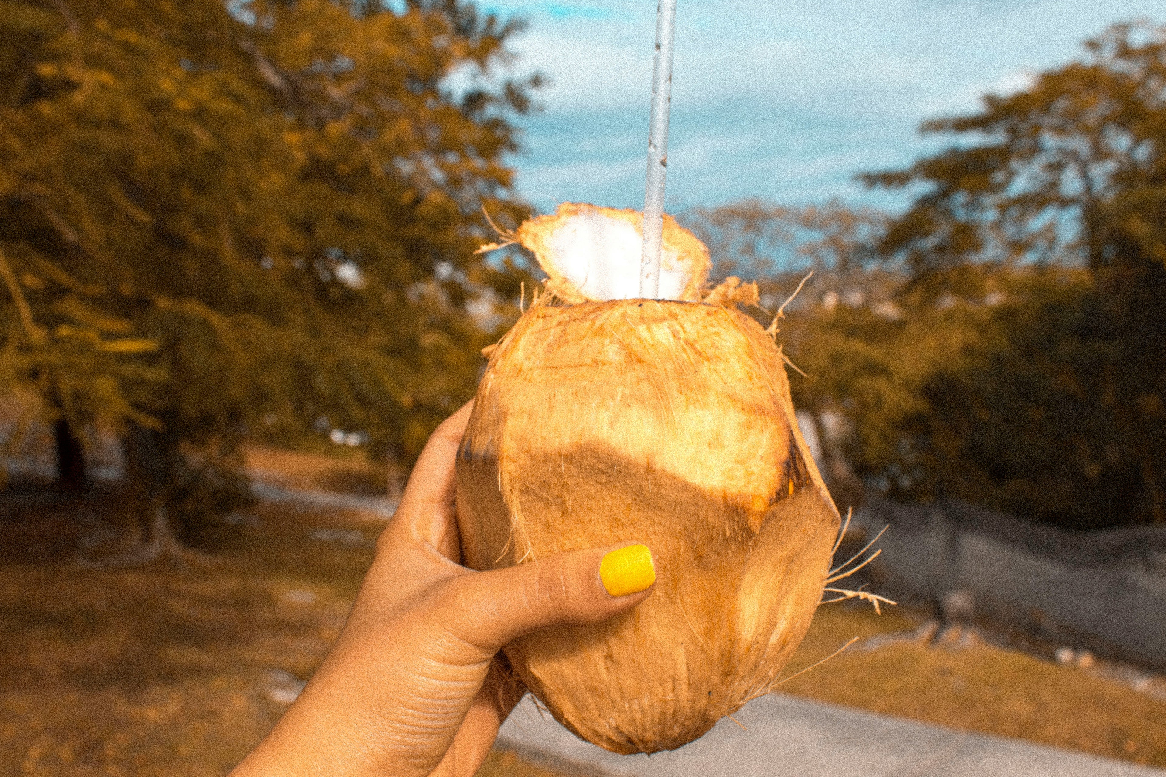Pure Coconut Water - Natural Hydration