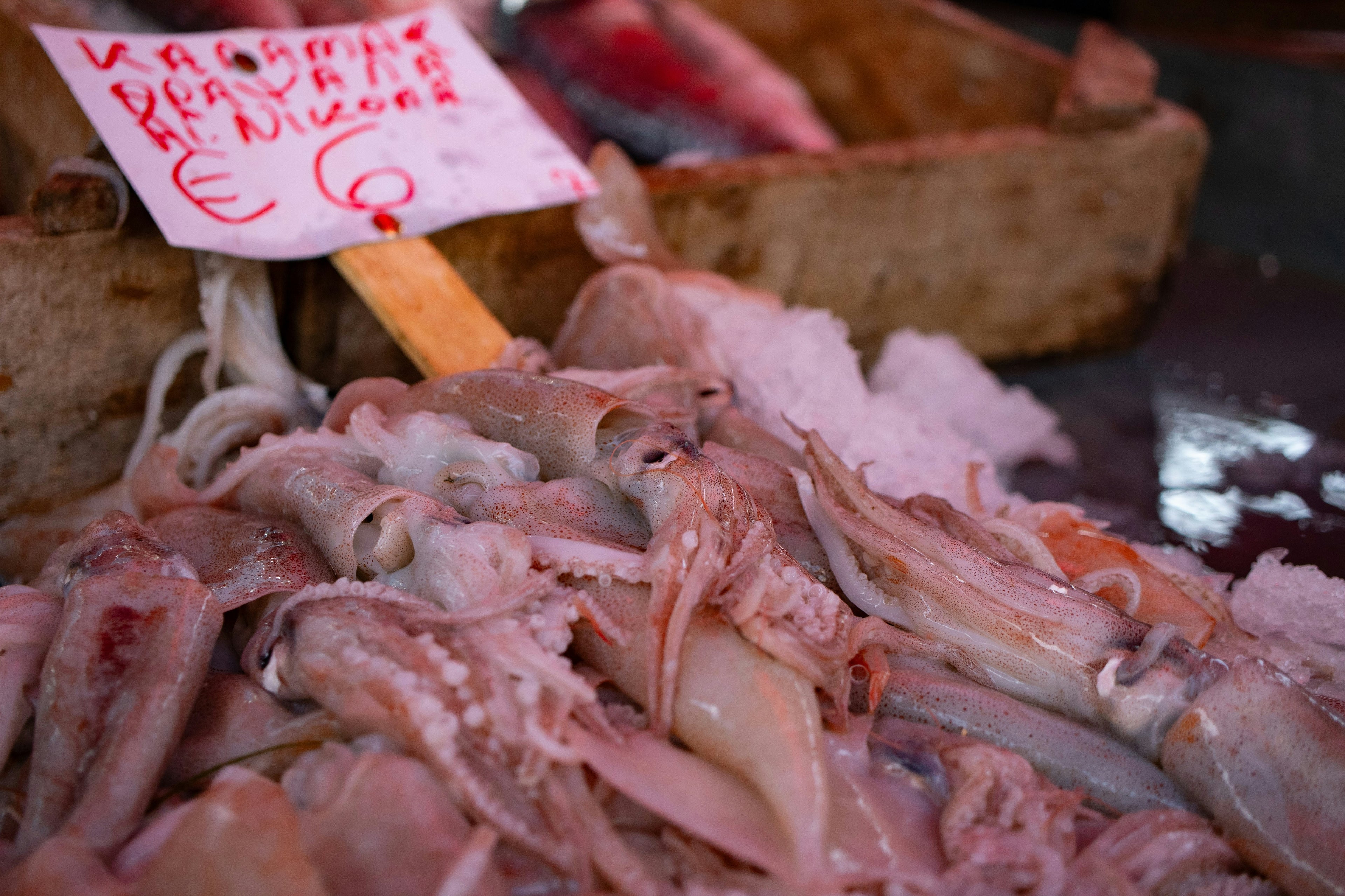 Pork Chops - Bone-In